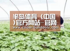 种植基地三