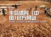 种植基地二