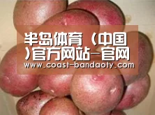 产品展示标题1