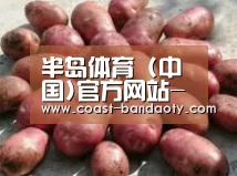 产品展示标题5(图1)