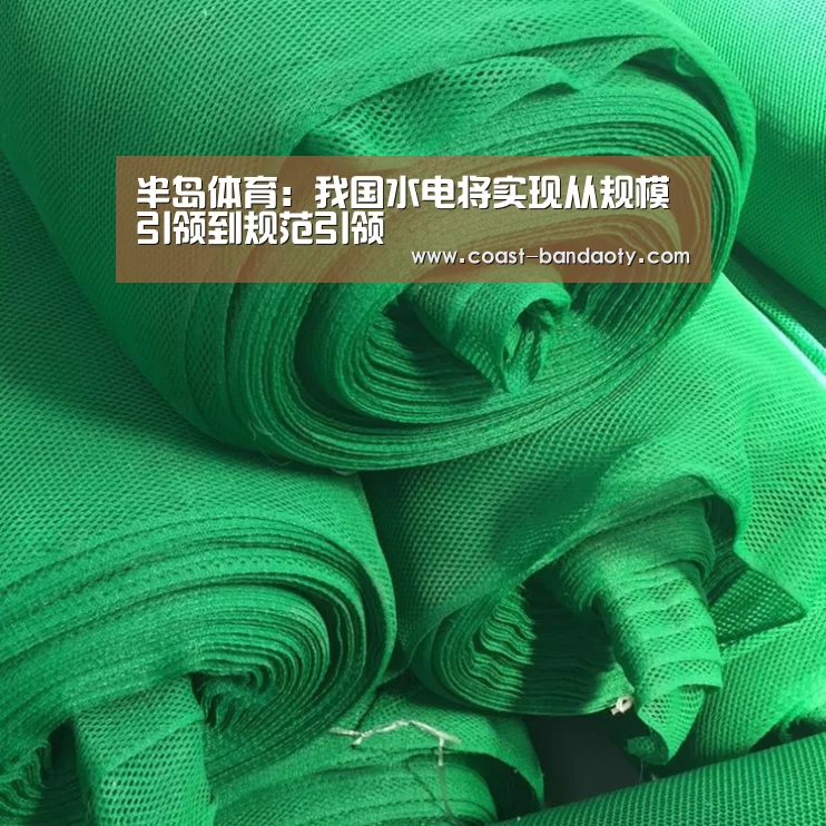 半岛体育:我国水电将实现从规模引领到规范引领(图2) 半岛体育在线下载